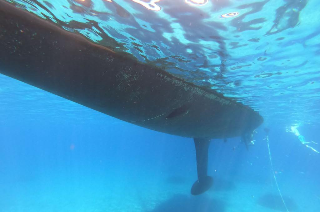 Original-Foto eines Kunden