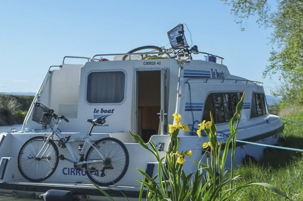 Katalog-Foto (evt. abweichend)