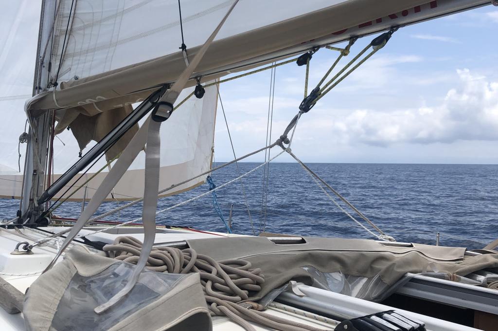 Original-Foto eines Kunden