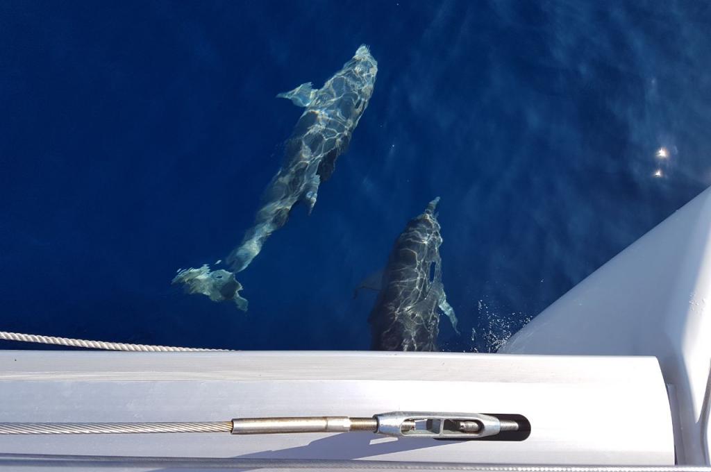 Original-Foto eines Kunden