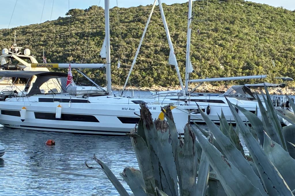 Original-Foto eines Kunden | aufgenommen am 11.05.2025