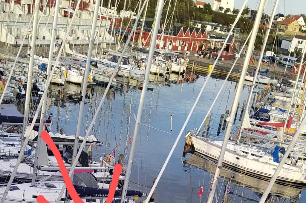 Original-Foto eines Kunden | aufgenommen am 13.08.2023