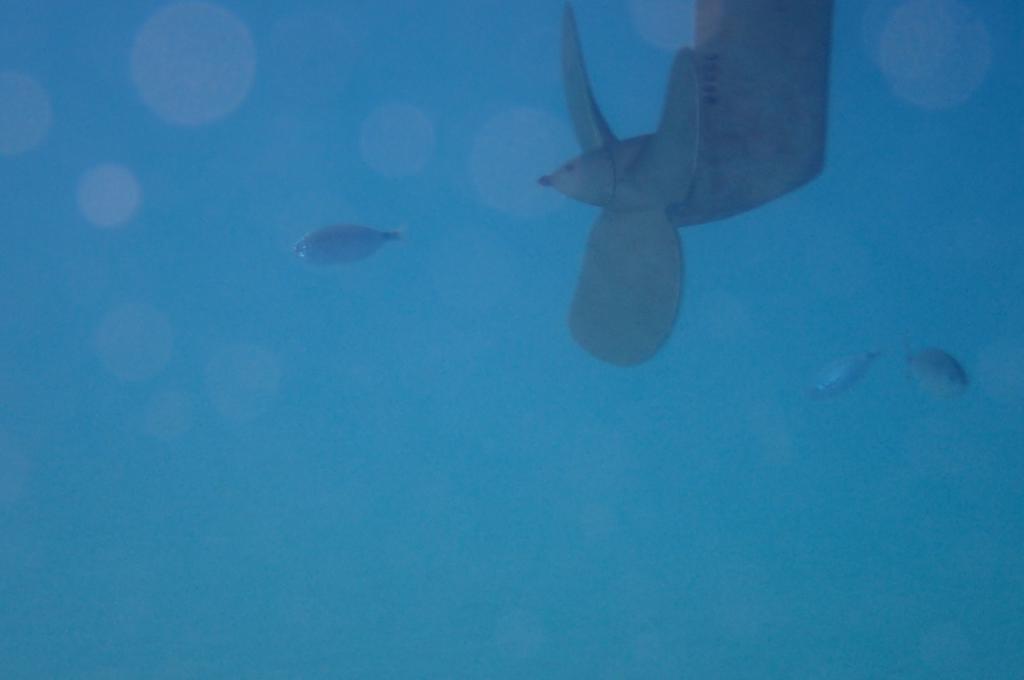 Original-Foto eines Kunden | aufgenommen am 13.09.2020