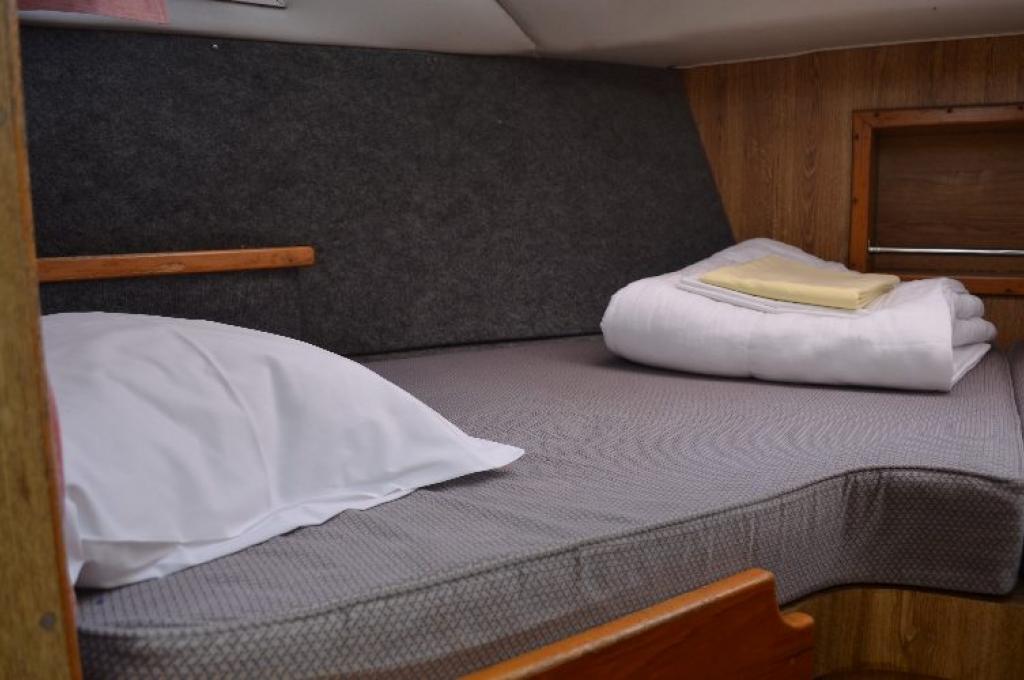 Katalog-Foto (evt. abweichend)