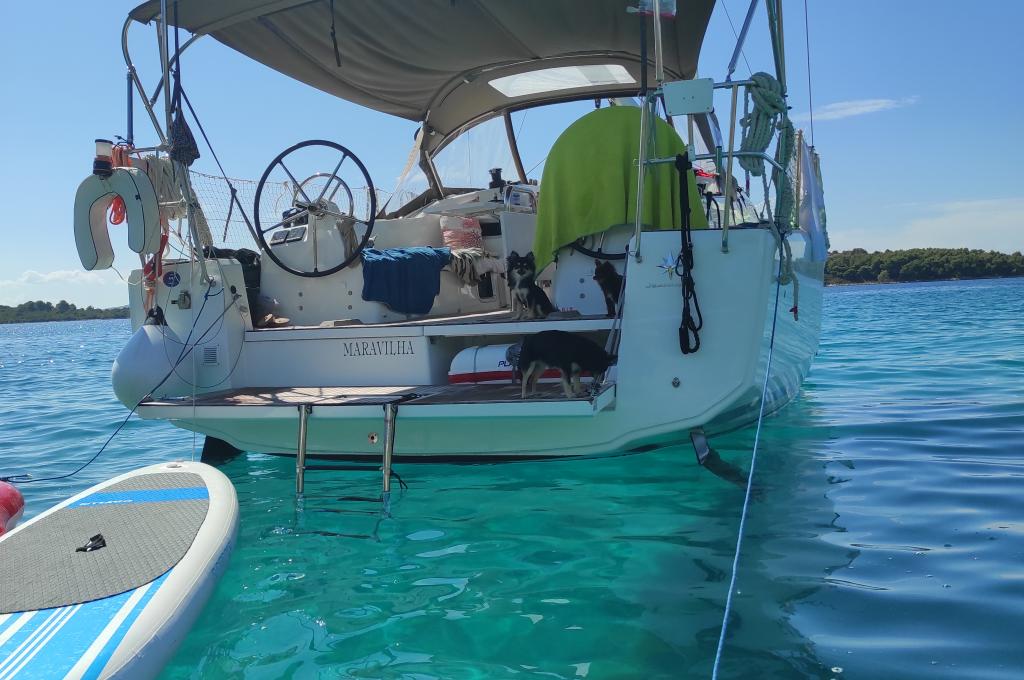 Original-Foto eines Kunden | aufgenommen am 23.08.2022