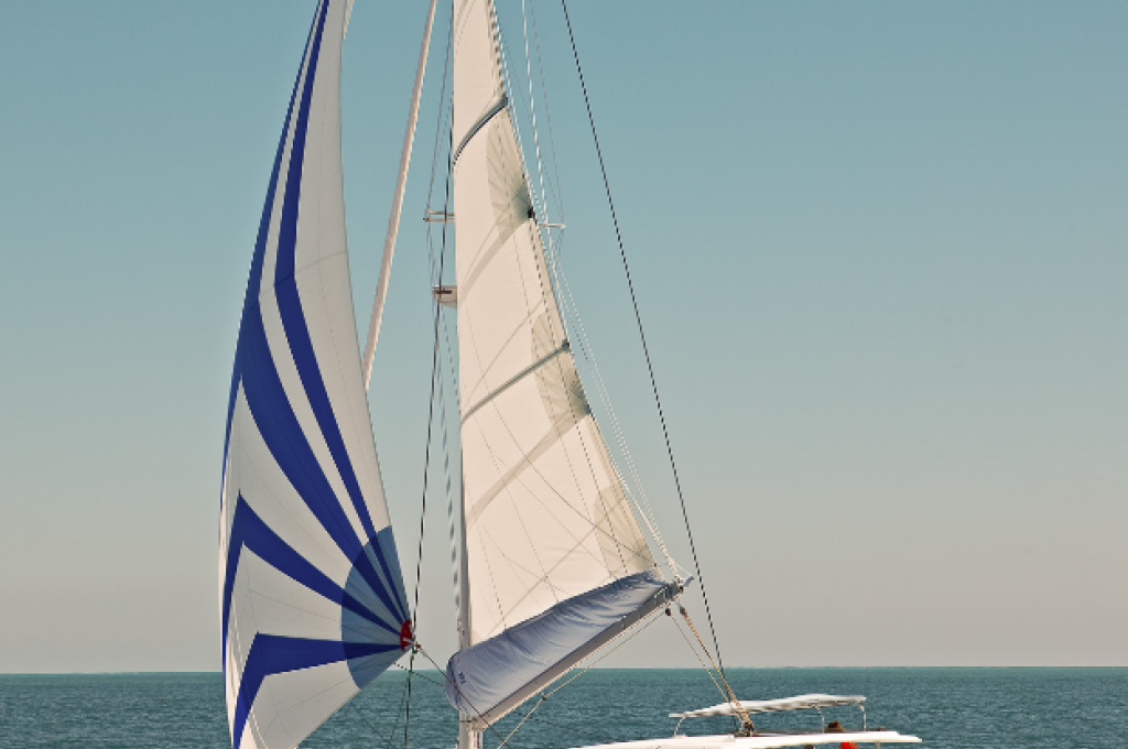 Katalog-Foto (evt. abweichend)