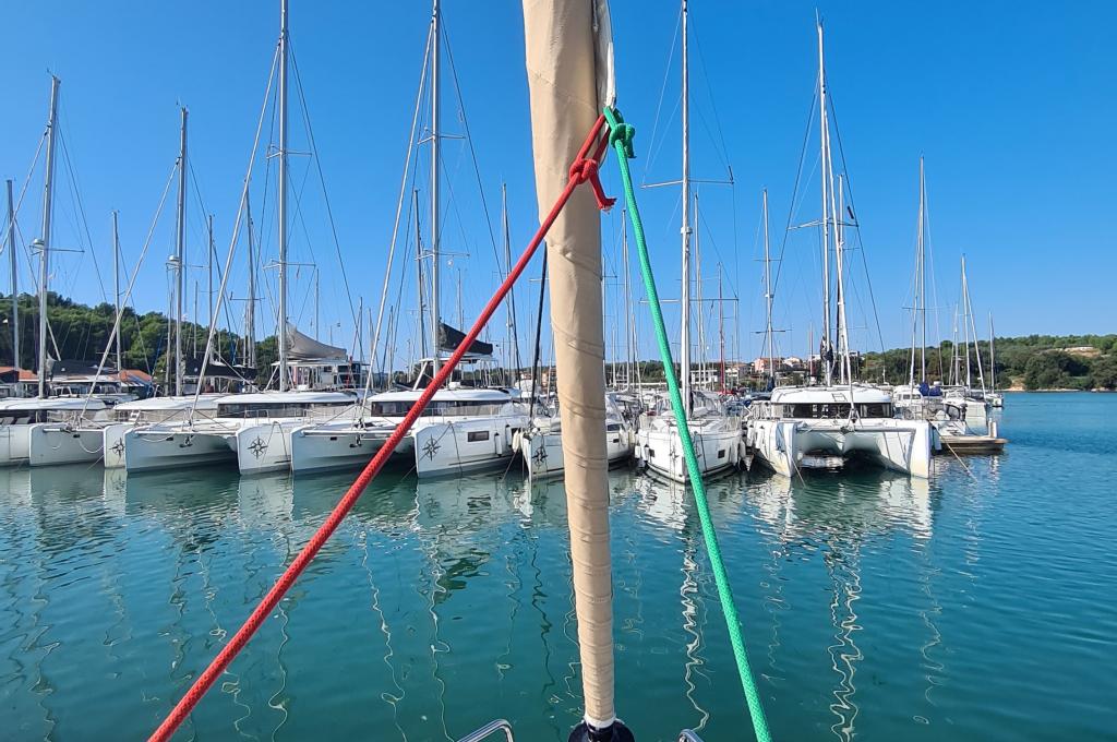 Original-Foto | aufgenommen am 07.10.2023