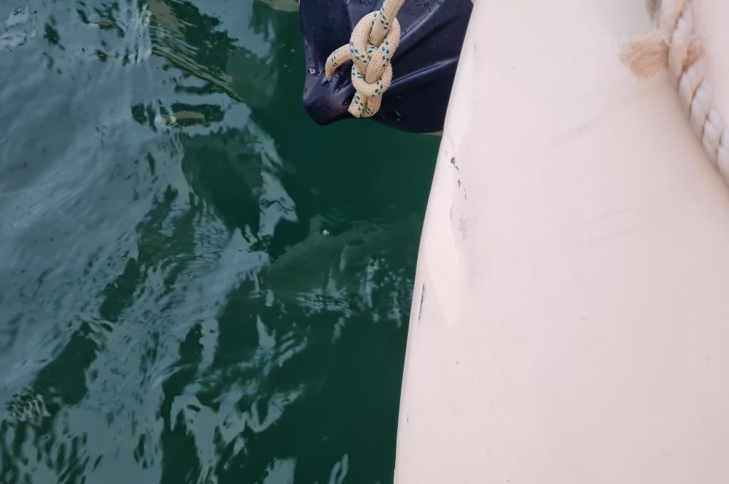 Original-Foto eines Kunden | aufgenommen am 06.08.2022