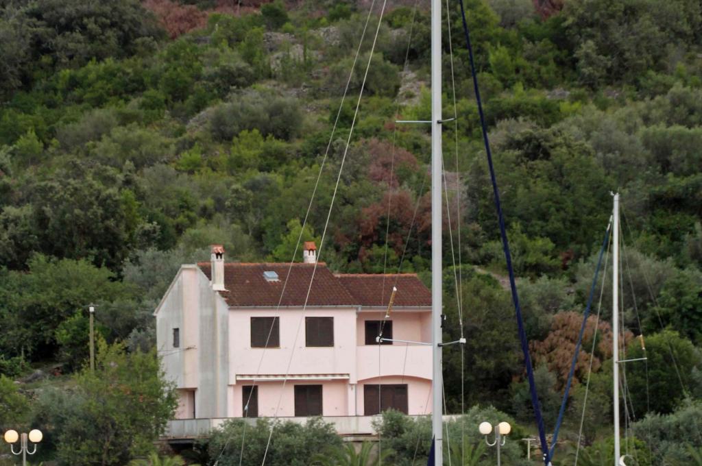 Original-Foto eines Kunden | aufgenommen am 07.08.2019