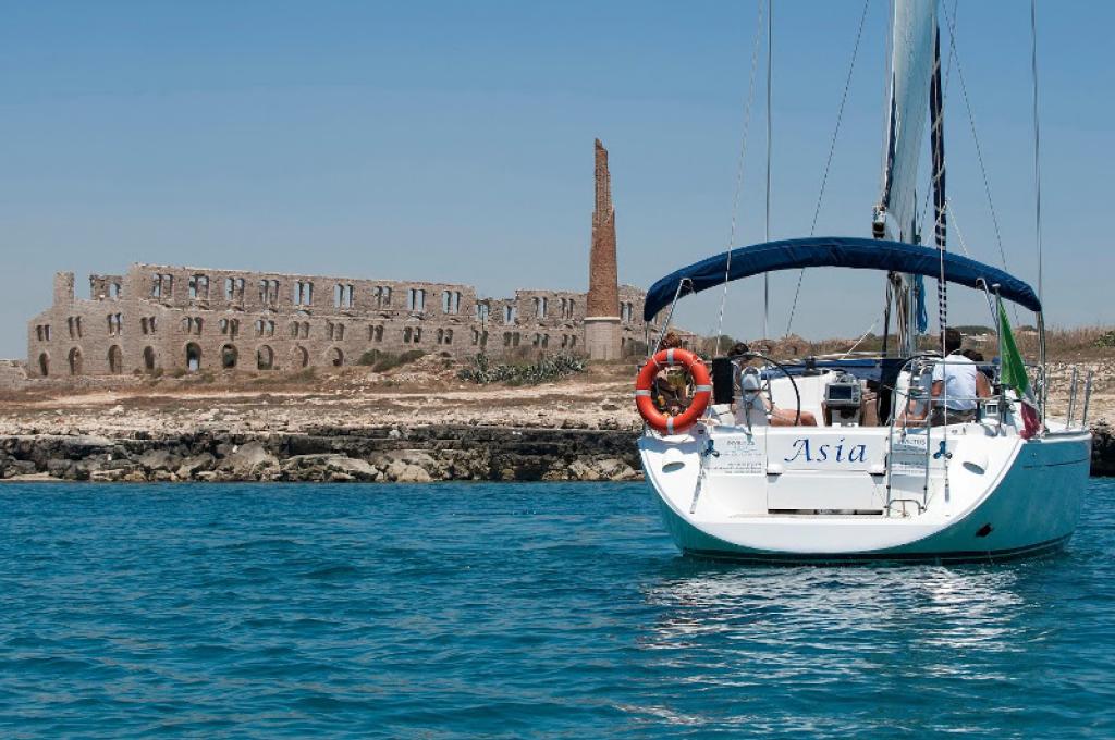 Katalog-Foto (evt. abweichend)