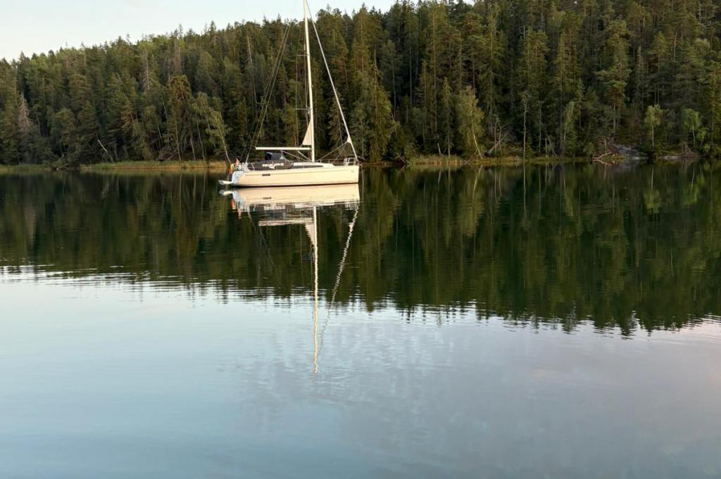 Original-Foto eines Kunden