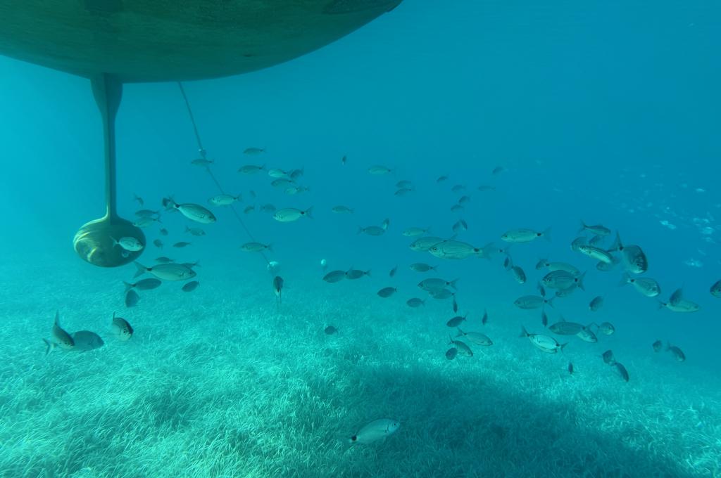 Original-Foto eines Kunden | aufgenommen am 30.09.2025