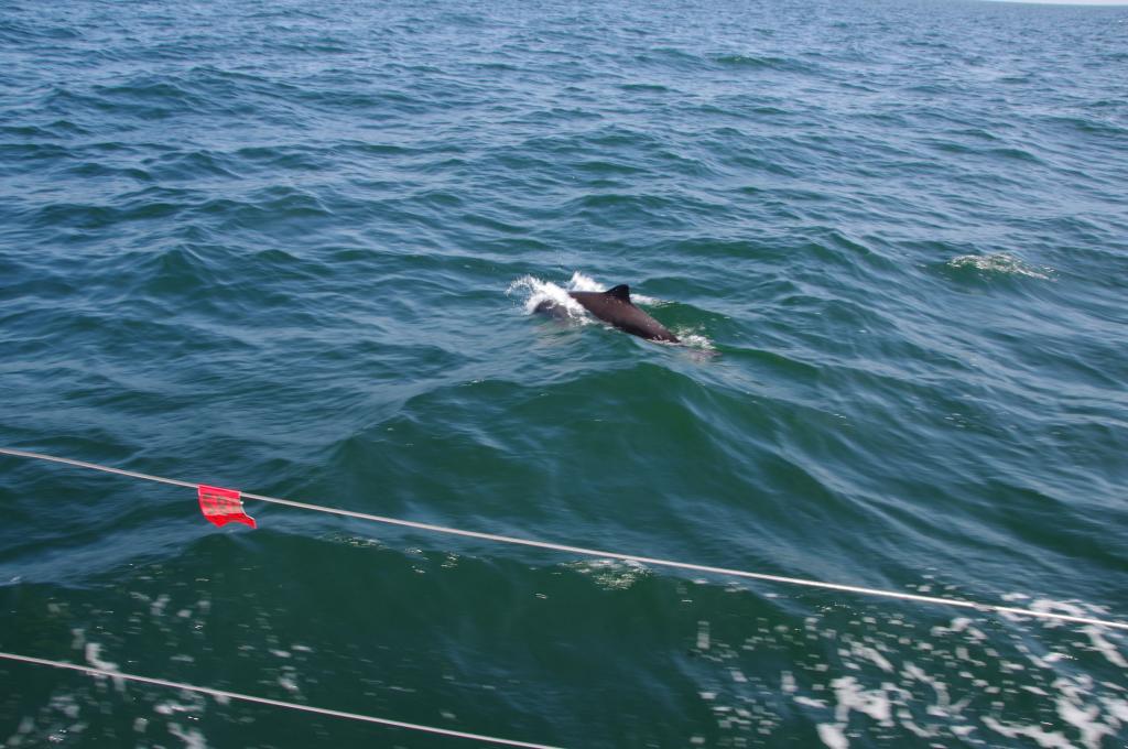 Original-Foto eines Kunden | aufgenommen am 17.05.2018