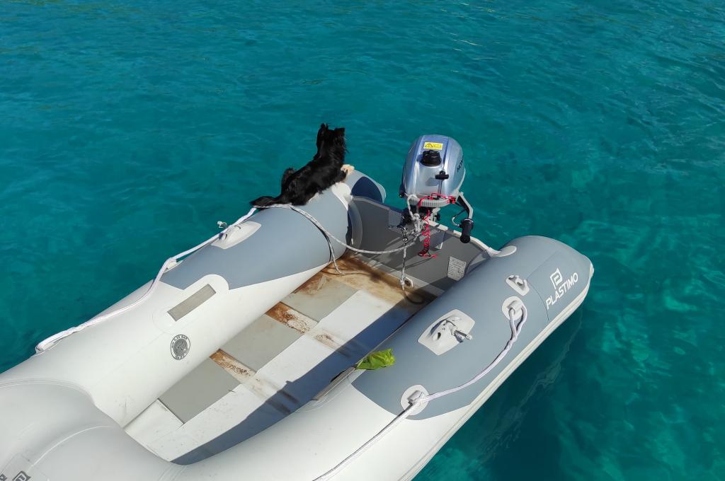 Original-Foto eines Kunden