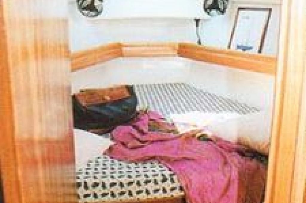 Katalog-Foto (evt. abweichend)