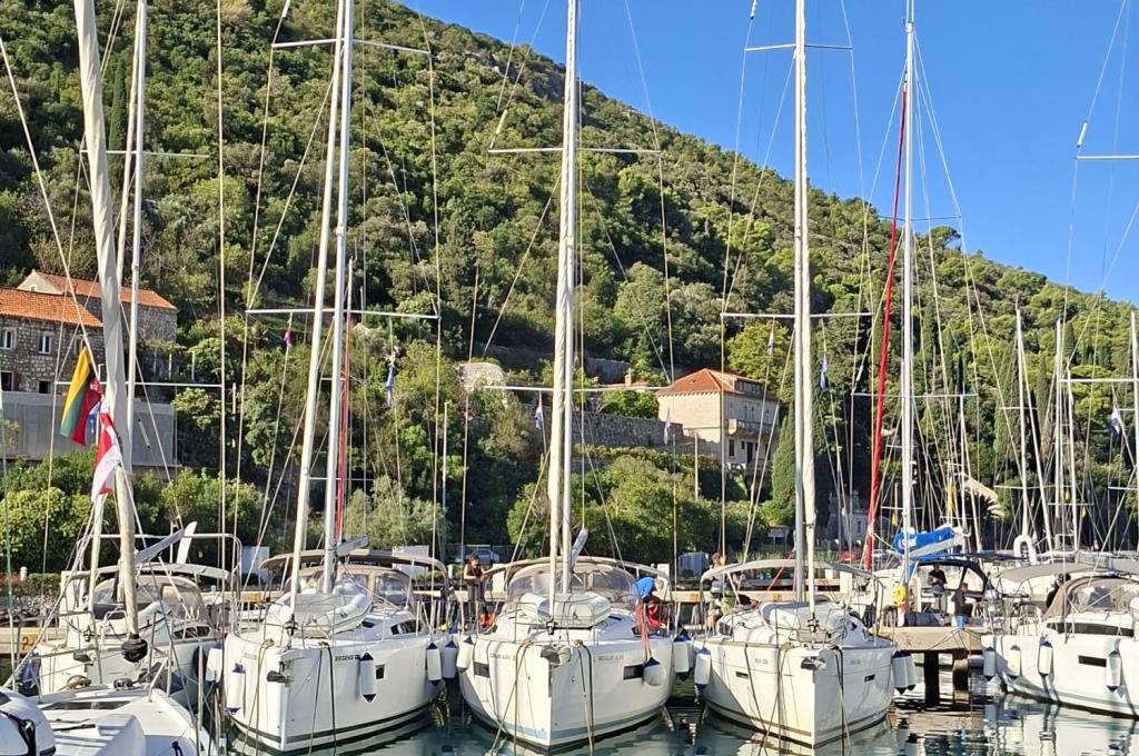 Original-Foto eines Kunden