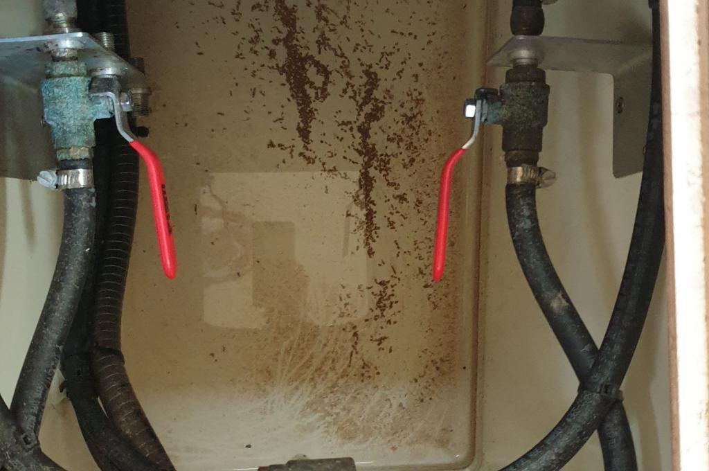 Original-Foto eines Kunden