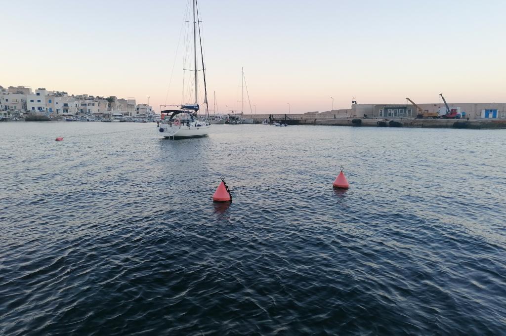 Original-Foto eines Kunden | aufgenommen am 03.10.2023