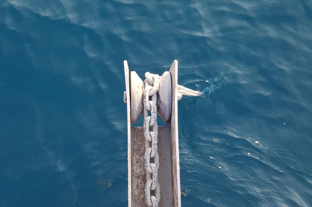 Original-Foto eines Kunden