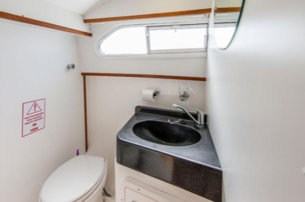 Katalog-Foto (evt. abweichend)