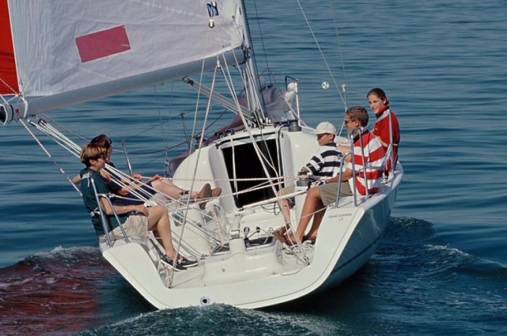 Katalog-Foto (evt. abweichend)