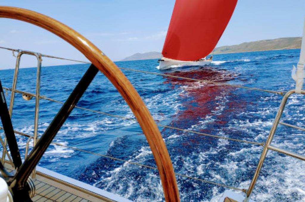 Original-Foto | aufgenommen am 17.06.2019