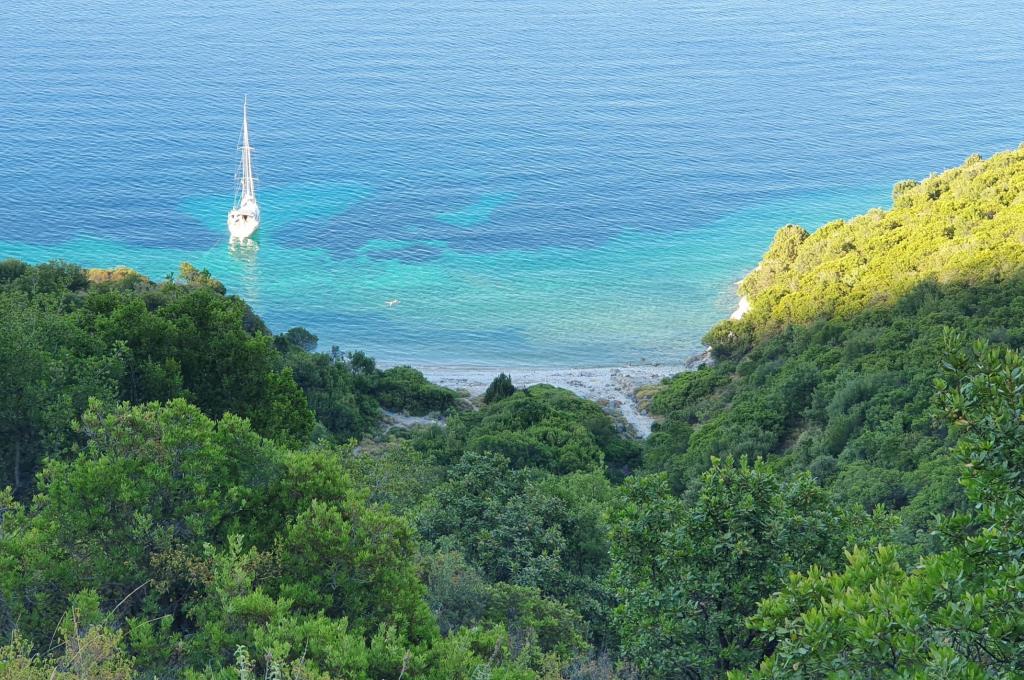 Original-Foto eines Kunden | aufgenommen am 07.07.2019