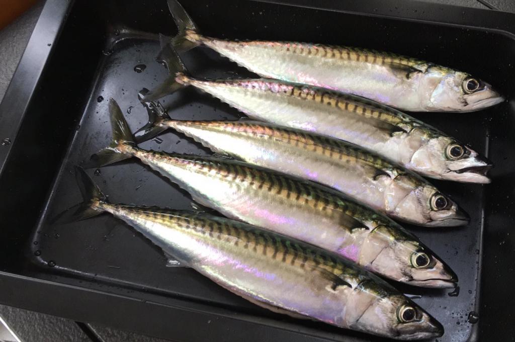 Original-Foto eines Kunden