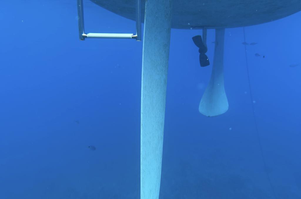 Original-Foto eines Kunden