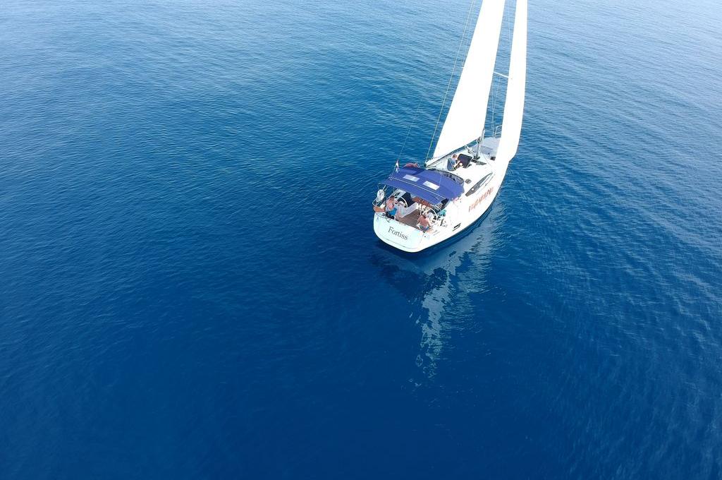 Katalog-Foto (evt. abweichend)