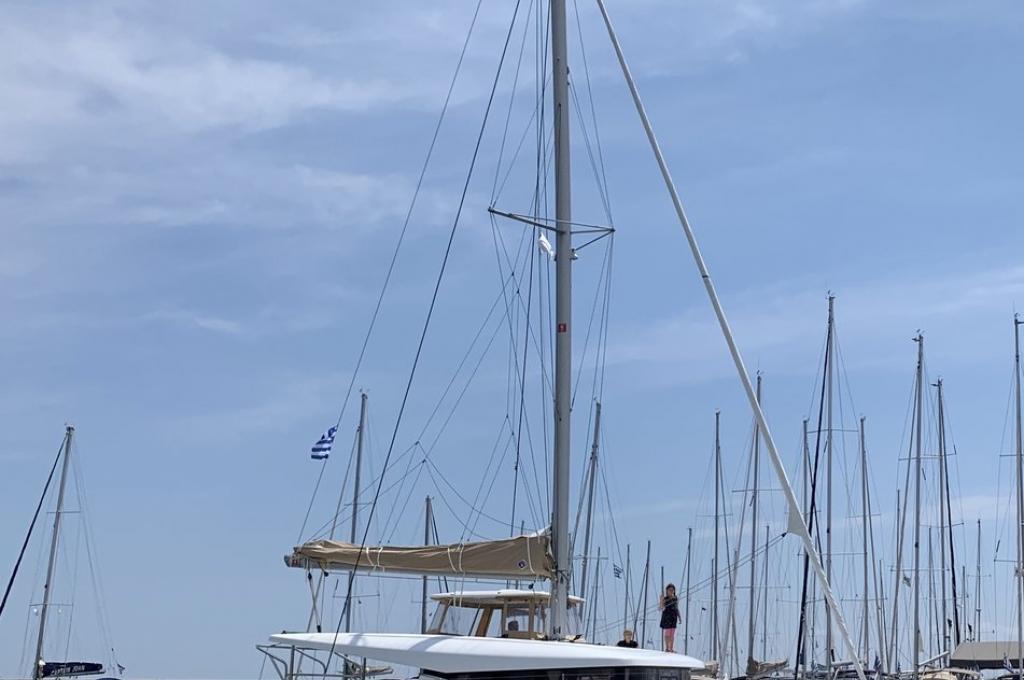 Original-Foto | aufgenommen am 12.06.2019