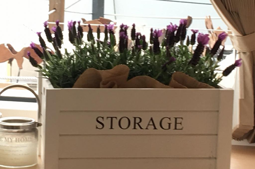 Original-Foto | aufgenommen am 21.03.2017