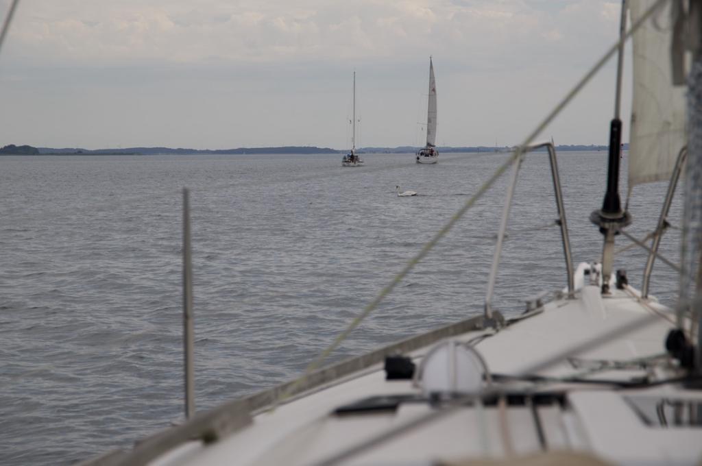 Original-Foto eines Kunden | aufgenommen am 03.07.2022