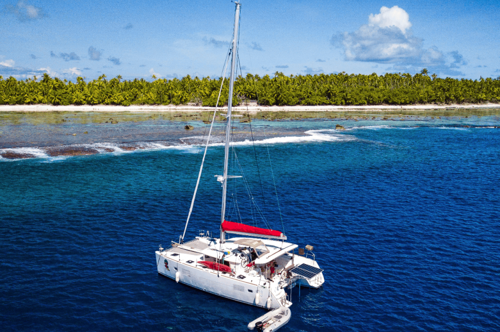 Katalog-Foto (evt. abweichend)