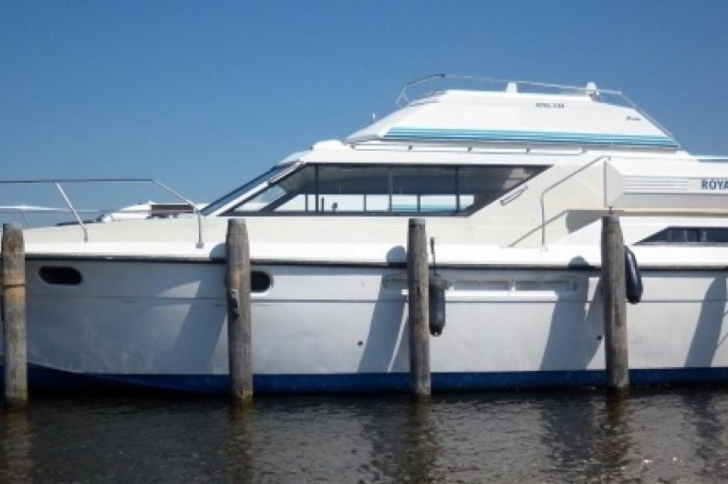 Katalog-Foto (evt. abweichend)