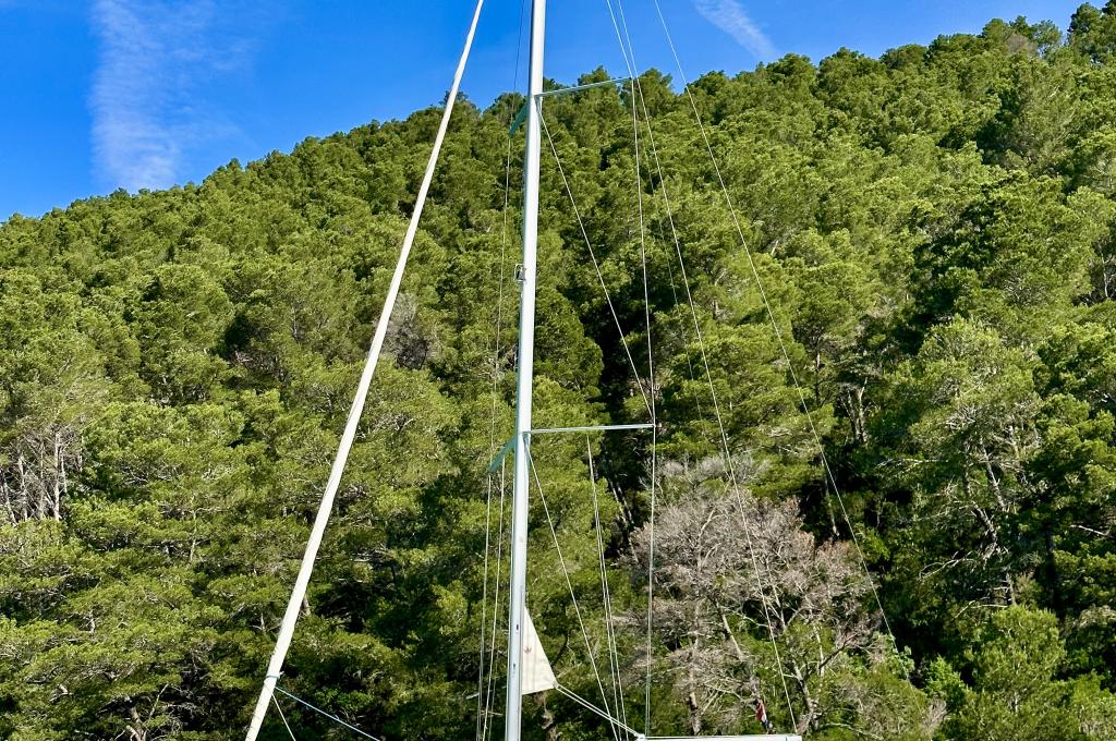 Original-Foto eines Kunden | aufgenommen am 01.06.2023