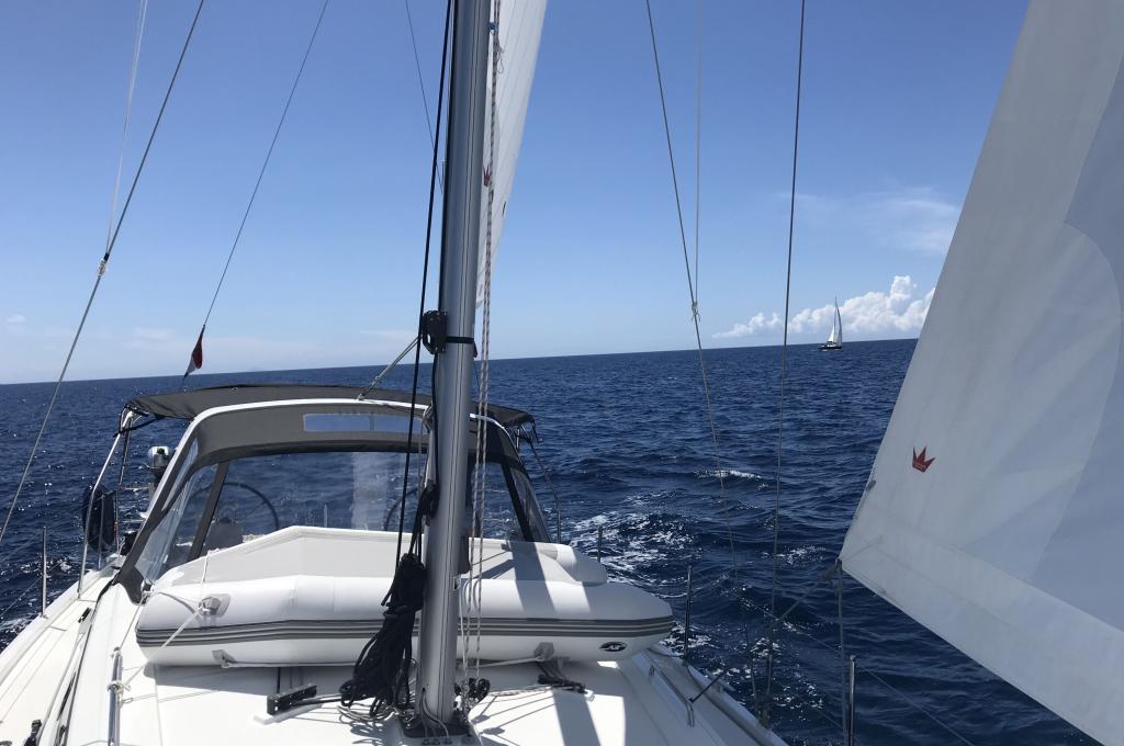 Original-Foto eines Kunden | aufgenommen am 11.06.2020