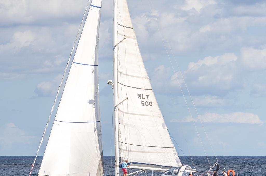 Original-Foto | aufgenommen am 08.11.2019