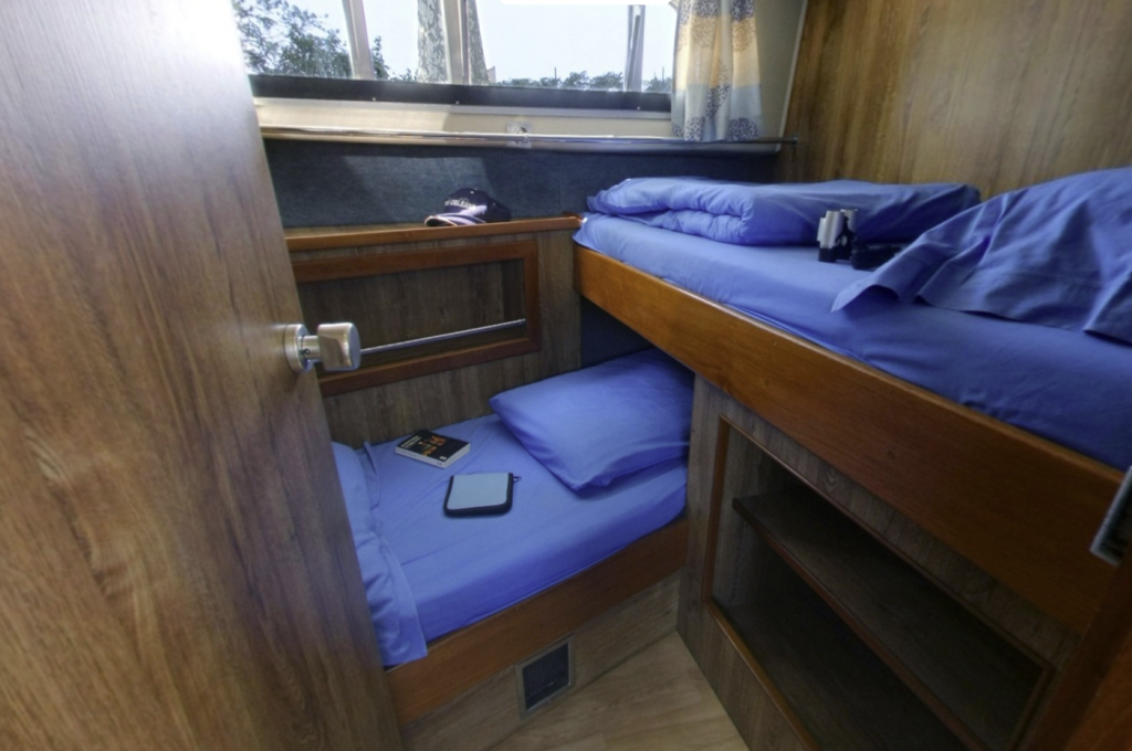 Katalog-Foto (evt. abweichend)