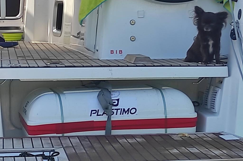 Original-Foto eines Kunden