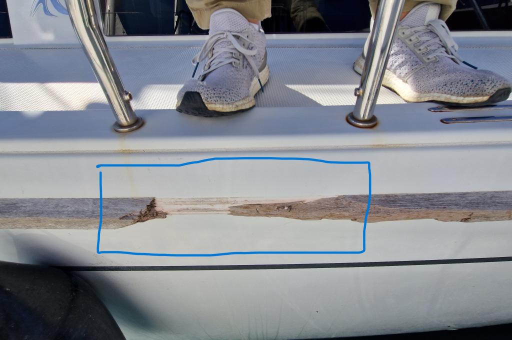 Original-Foto eines Kunden | aufgenommen am 04.10.2025