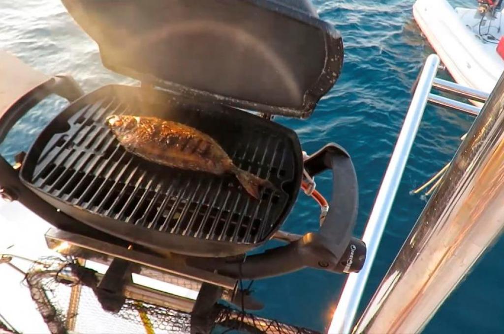 Original-Foto | aufgenommen am 05.11.2023