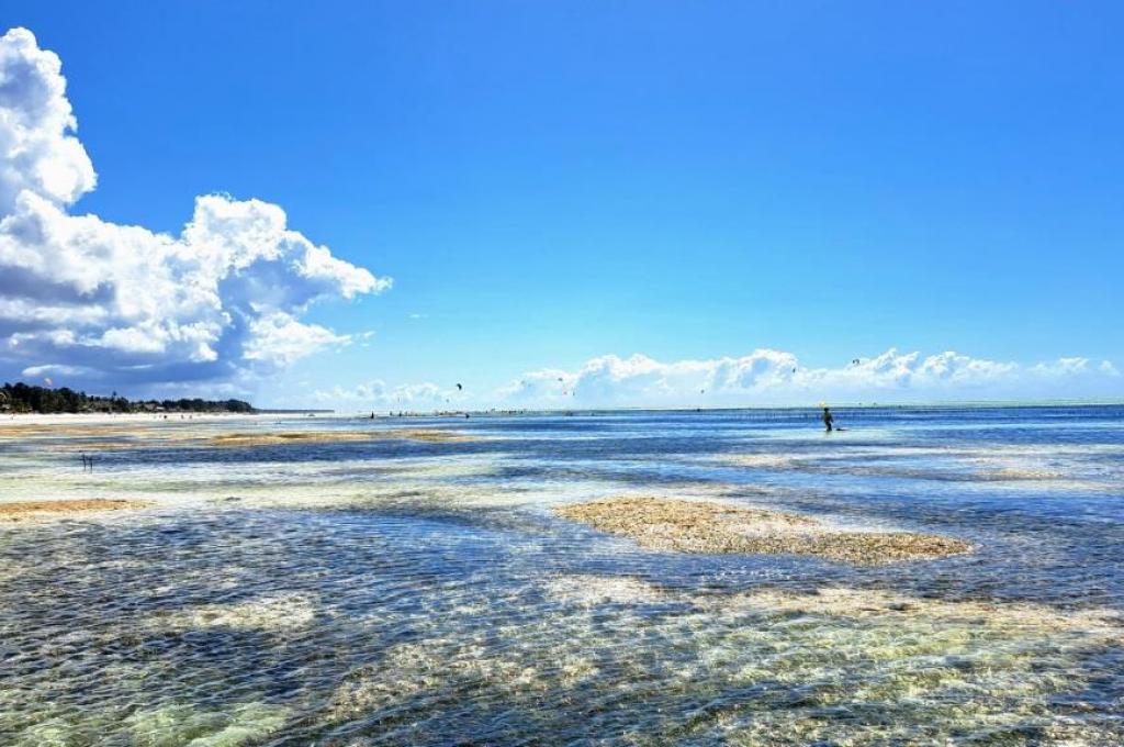 Original-Foto | aufgenommen am 14.06.2022