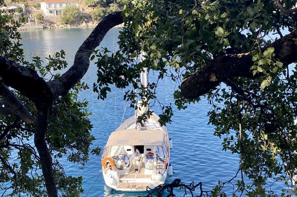 Original-Foto eines Kunden