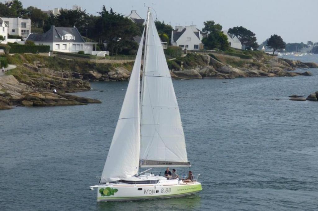 Katalog-Foto (evt. abweichend)