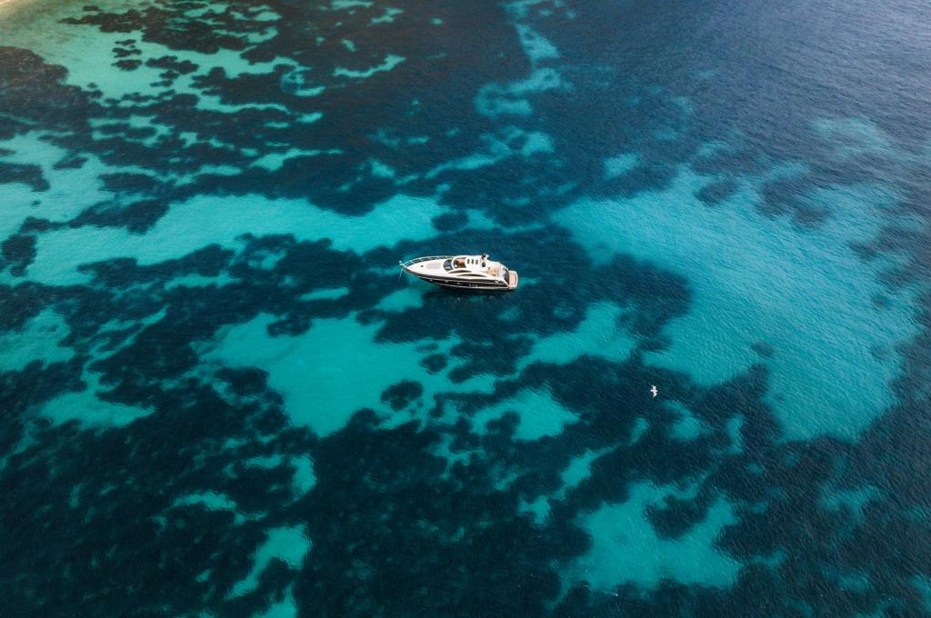 Original-Foto | aufgenommen am 12.05.2023