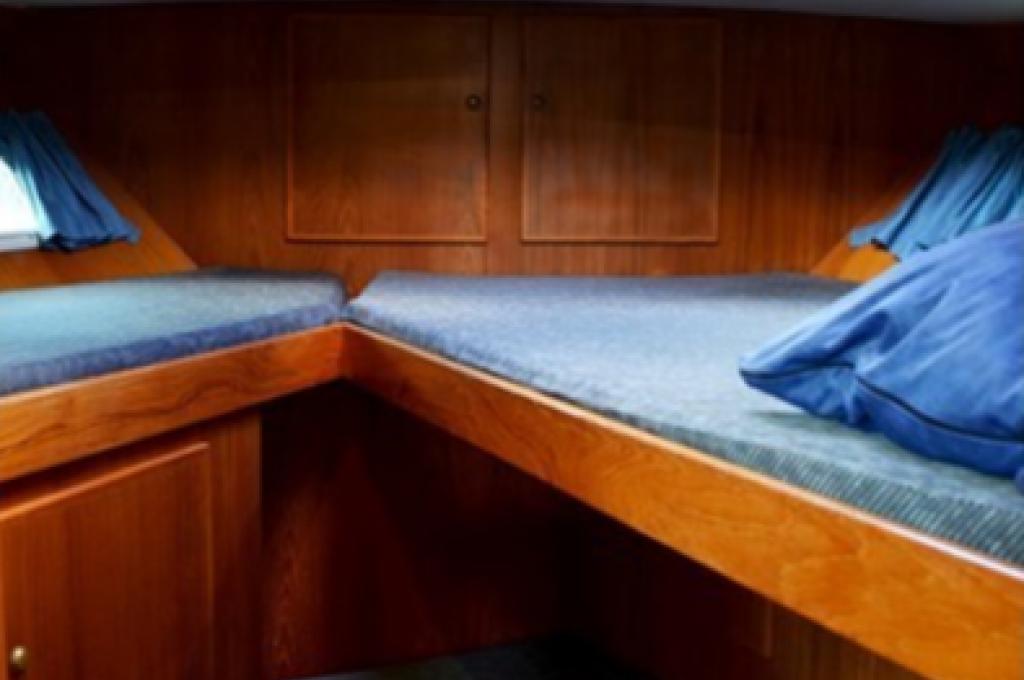 Katalog-Foto (evt. abweichend)