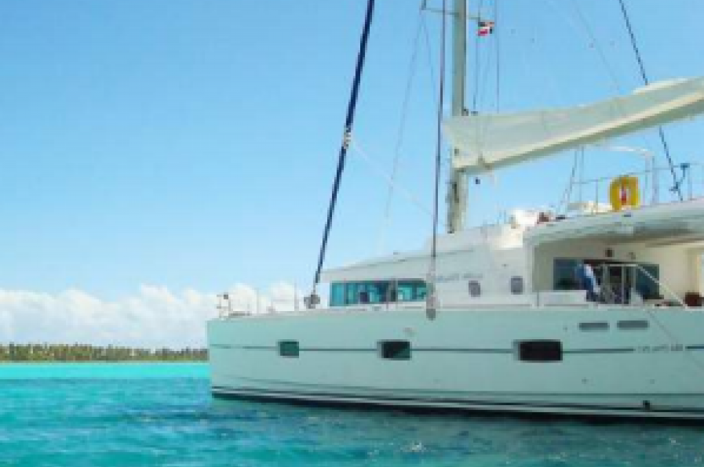 Katalog-Foto (evt. abweichend)