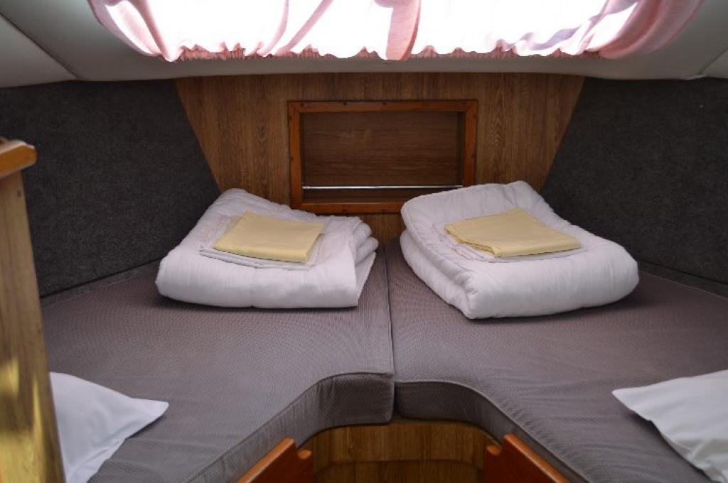 Katalog-Foto (evt. abweichend)