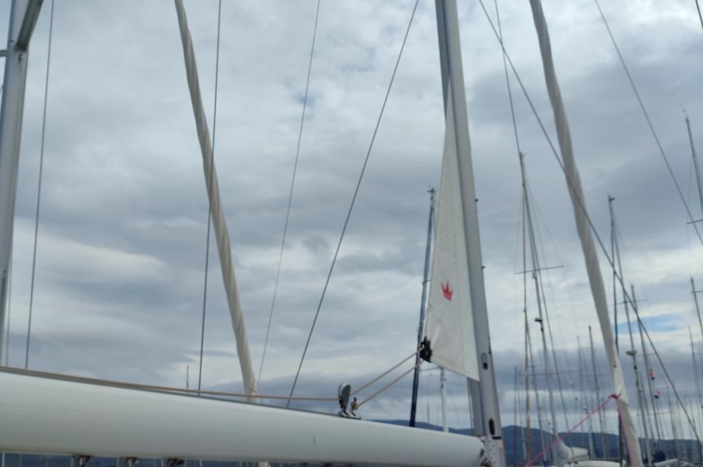 Original-Foto | aufgenommen am 03.11.2025